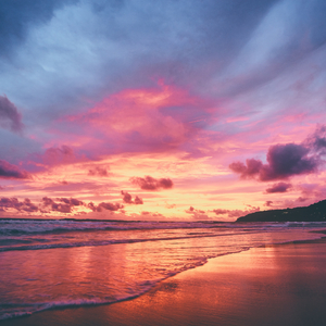 欧美男人同性爱视频
