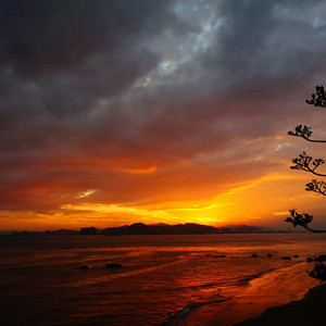 欧美男人同性爱视频
